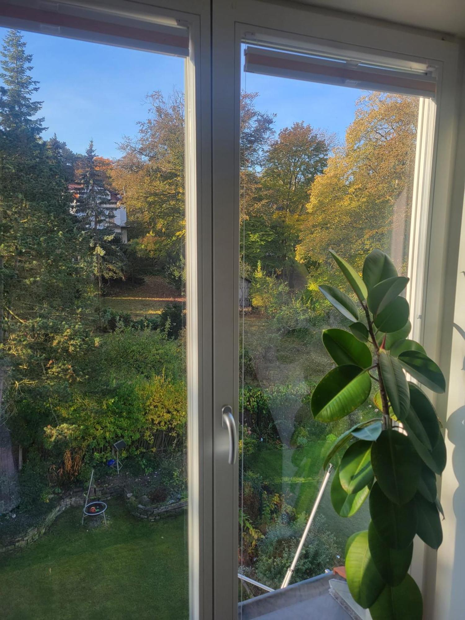 Wohnen Am Steiger In Erfurt Sued Apartamento Exterior foto